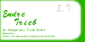 endre trieb business card